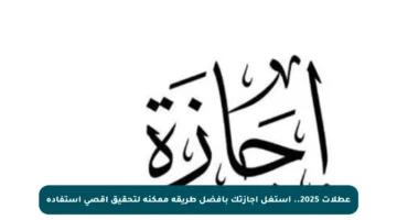 عطلات 2025.. استغل إجازتك بأفضل طريقة ممكنة لتحقيق أقصى استفادة